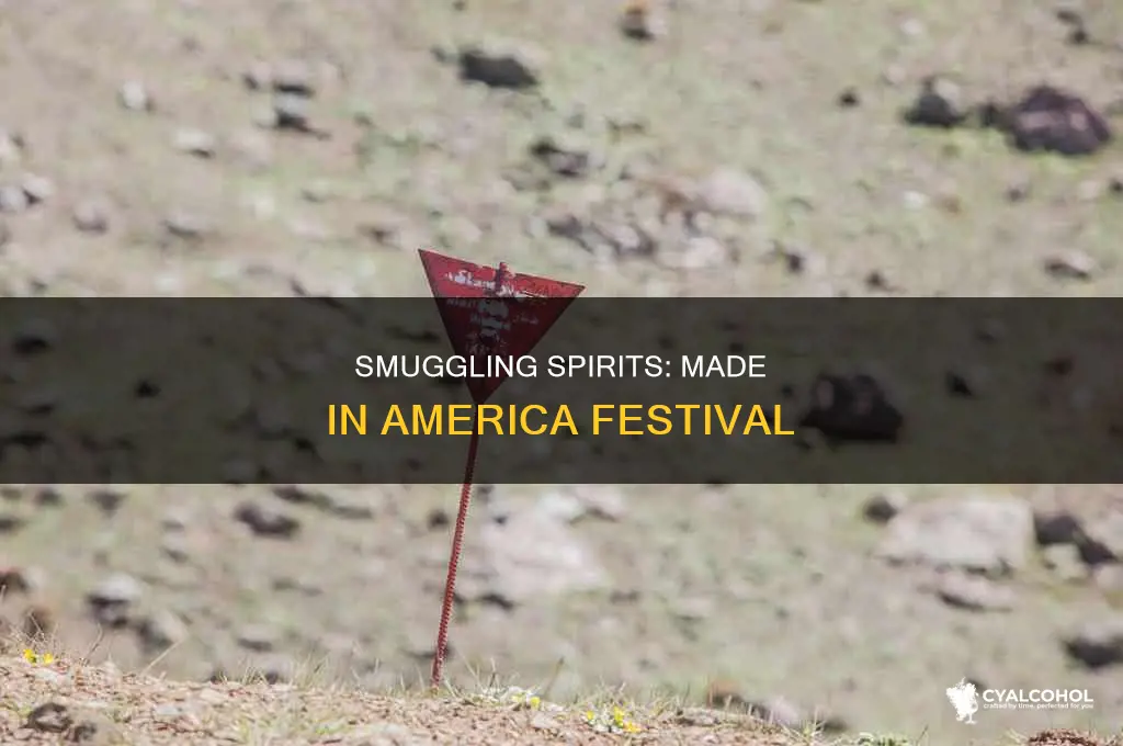 how to sneak alcohol into made in america