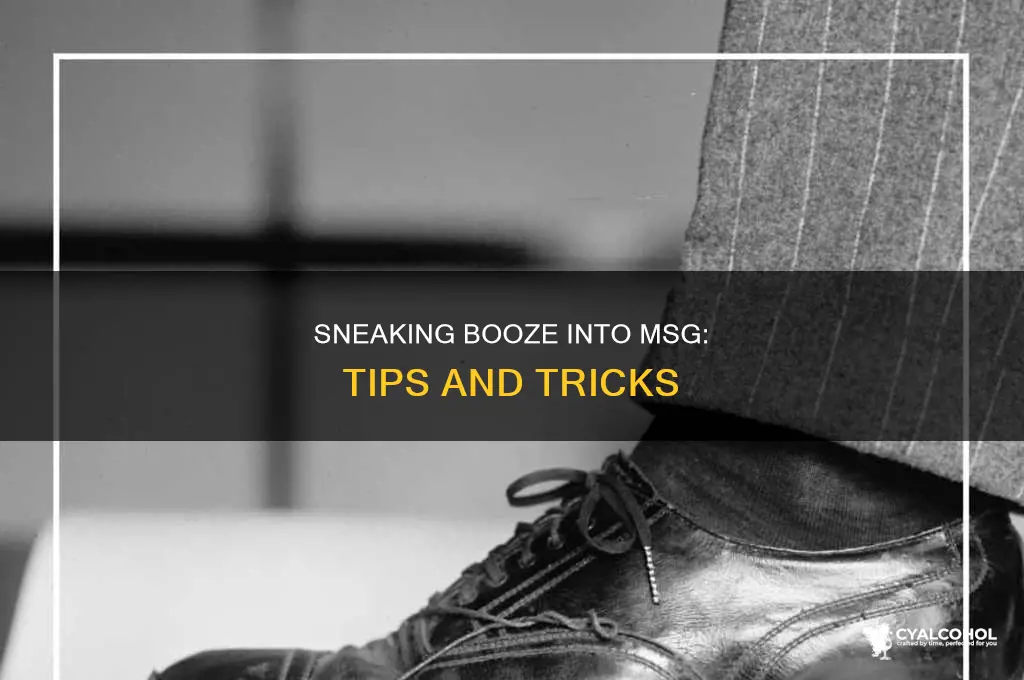 how to sneak alcohol into madison square garden