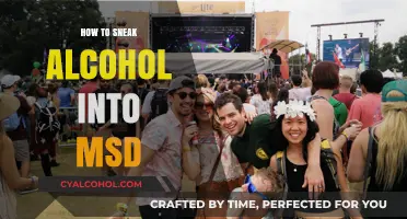 Creative Tips for Discreetly Bringing Alcohol into Music Festivals