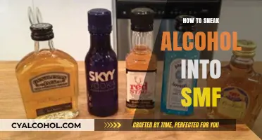 Clever Tips for Sneaking Alcohol into SMF Airport: A Guide