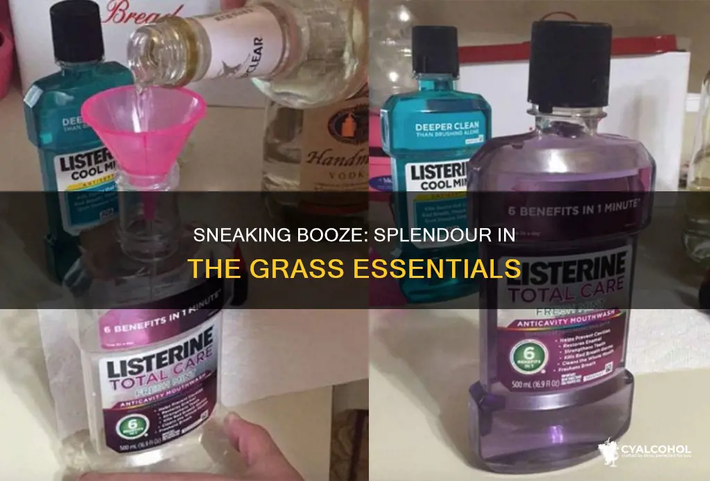 how to sneak alcohol into splendour in the grass