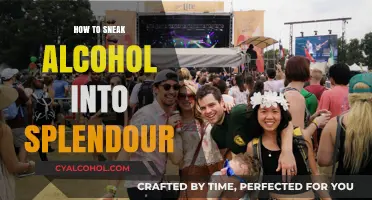Clever Tips to Sneak Alcohol into Splendour Festival Like a Pro