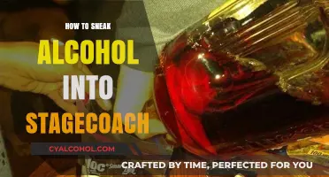 Clever Ways to Sneak Alcohol into Stagecoach Festival Unnoticed