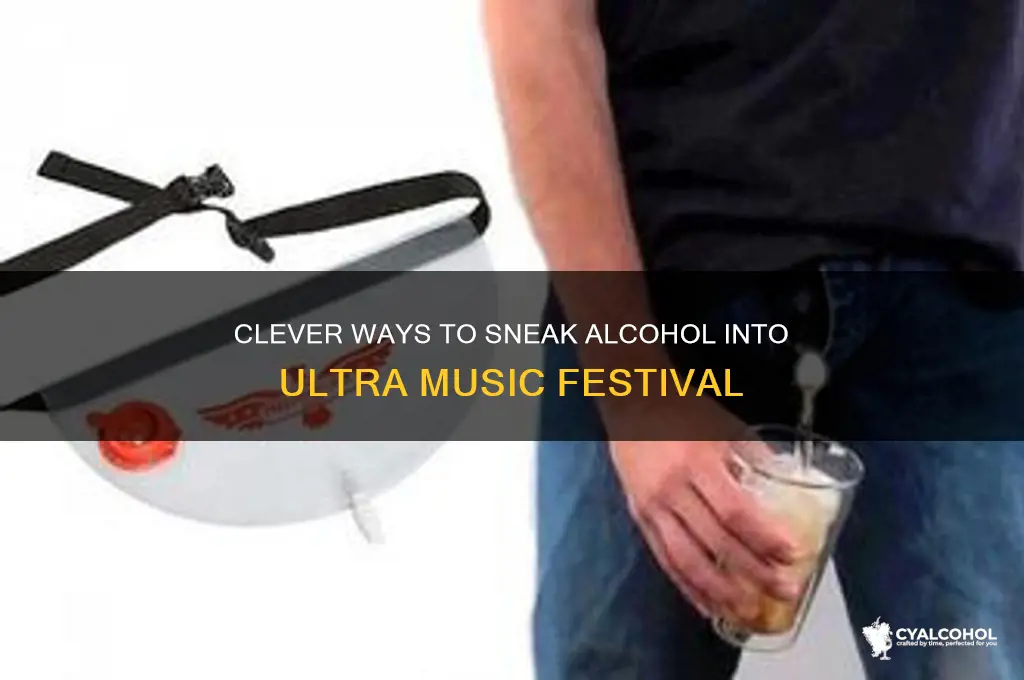 how to sneak alcohol into ultra