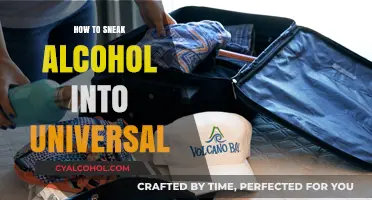 Creative Tips for Sneaking Alcohol into Universal Studios Parks