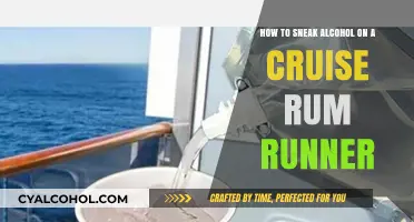 Sneaking Alcohol on a Cruise: Rum Runner Essentials