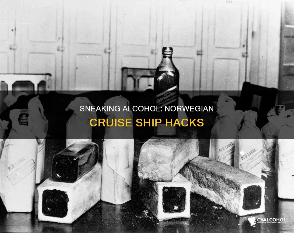 how to sneak alcohol on a norwegian cruise ship