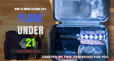 Sneaking Alcohol: Underage Drinking on a Plane
