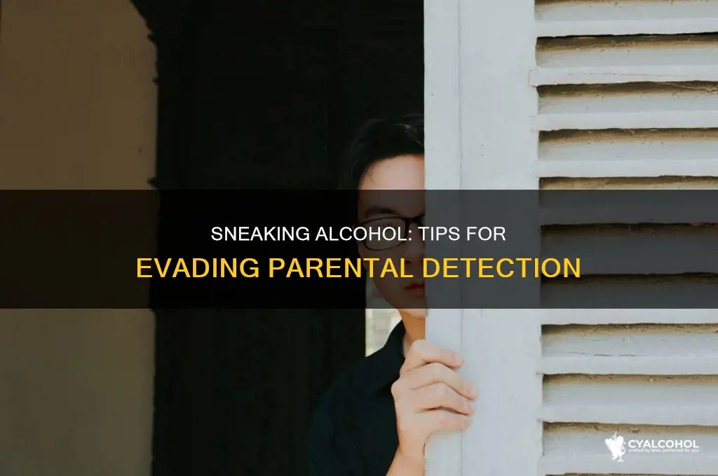 how to sneak alcohol without your parents noticing