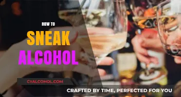 Clever Ways to Secretly Carry Alcohol to Any Event