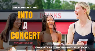Clever Ways to Discreetly Bring Alcohol to Concerts