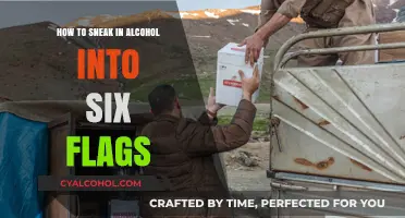 Sneaking Alcohol into Six Flags: Strategies and Tips