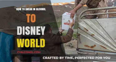 Disney World Drinking: Sneaking Alcohol In