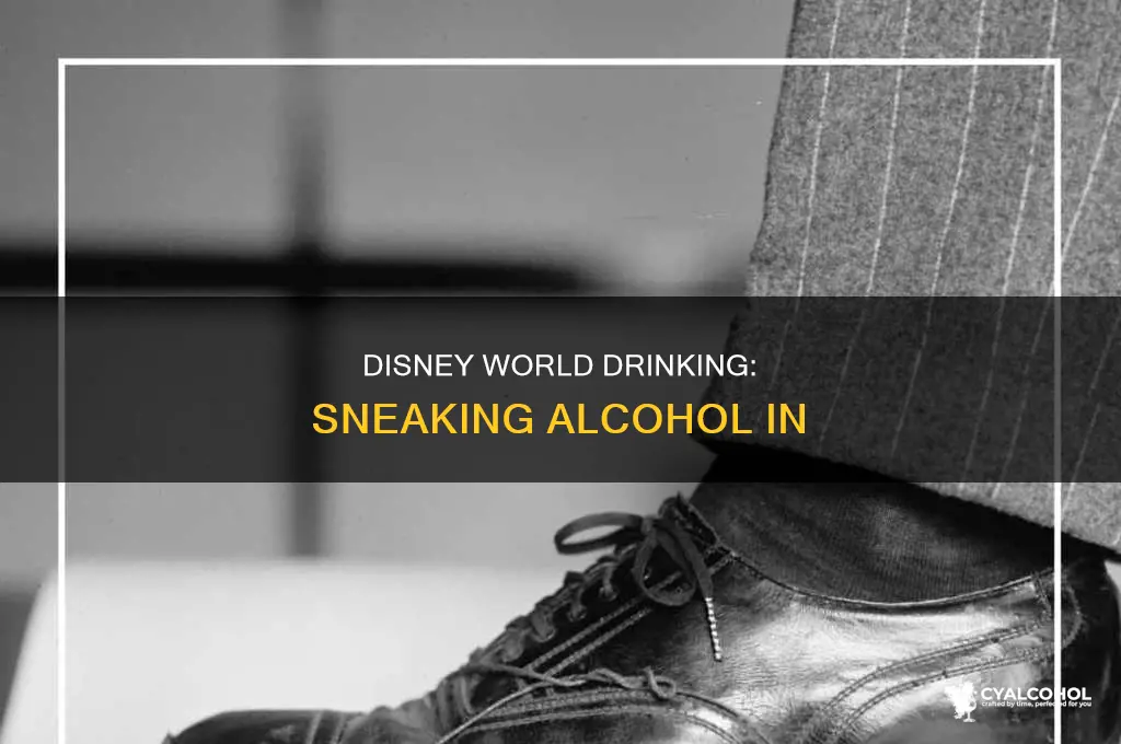 how to sneak in alcohol to disney world