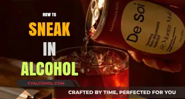 Clever Ways to Secretly Bring Alcohol to Any Event or Party