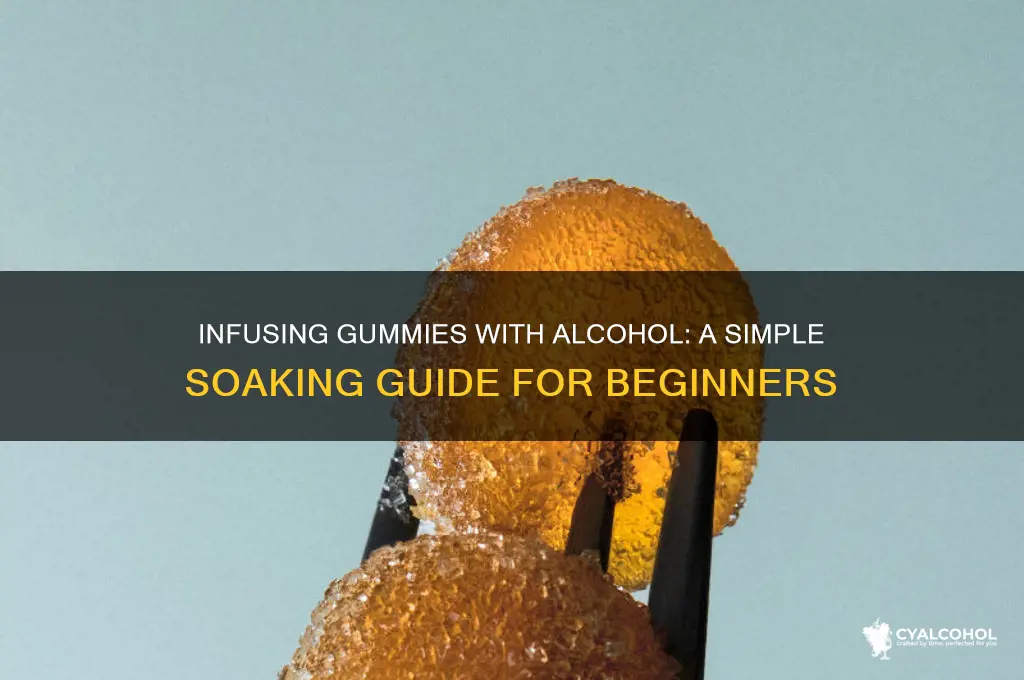 how to soak gummies in alcohol