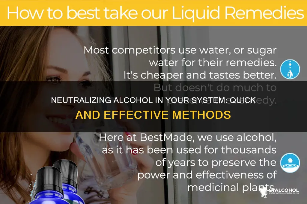 how to soak up alcohol in your system