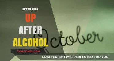 Quick Tips to Safely Sober Up After Drinking Alcohol