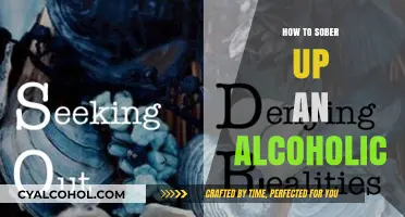 Effective Strategies to Help an Alcoholic Regain Sobriety Safely