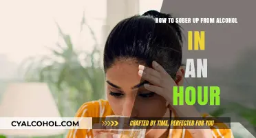 Quickly Sober Up: Alcohol-Free in an Hour