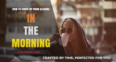 Morning After: Quick Tips to Sober Up