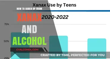 Strategies for Sobriety: Xanax and Alcohol