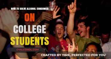 Addressing Alcohol Abuse Among College Students
