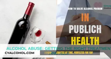 Public Health Strategies to Curb Alcohol Abuse
