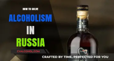 Tackling Russia's Alcohol Crisis: Effective Strategies for Lasting Recovery
