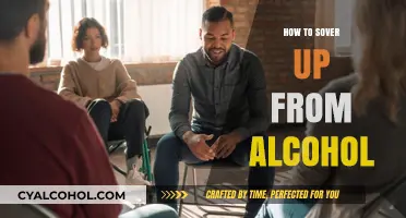 Healing from Alcohol: A Comprehensive Guide to Recovery and Sobriety