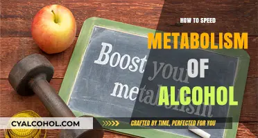 Boost Alcohol Metabolism: Proven Tips for Faster Breakdown and Recovery
