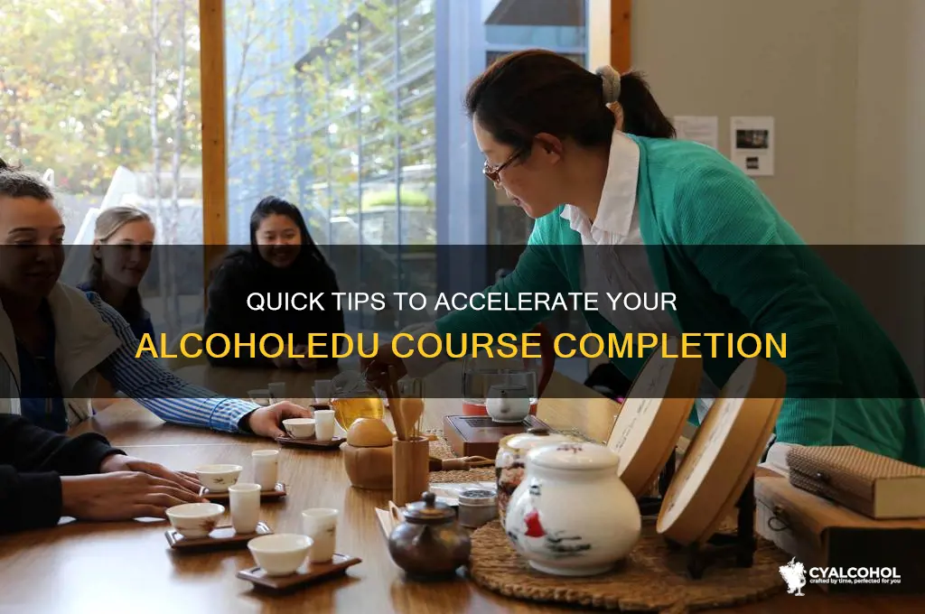 how to speed up alcohol edu