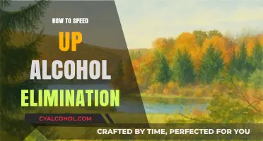 Accelerate Alcohol Elimination: Proven Strategies for Faster Detox and Recovery