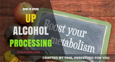 Boosting Alcohol Metabolism: Effective Strategies to Speed Up Processing