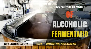 Quickening Alcoholic Fermentation: Techniques for Faster Results