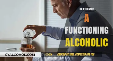 Identifying Functioning Alcoholics: Signs, Behaviors, and Hidden Struggles