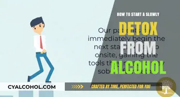 Detoxing from Alcohol: A Slow and Steady Guide