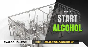 A Beginner's Guide to Starting Alcohol: Tips and Essentials