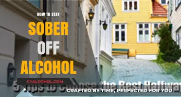 Sober Living Strategies: Practical Tips to Stay Alcohol-Free Long-Term