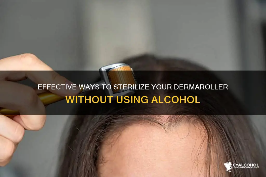 how to sterilize dermaroller without alcohol
