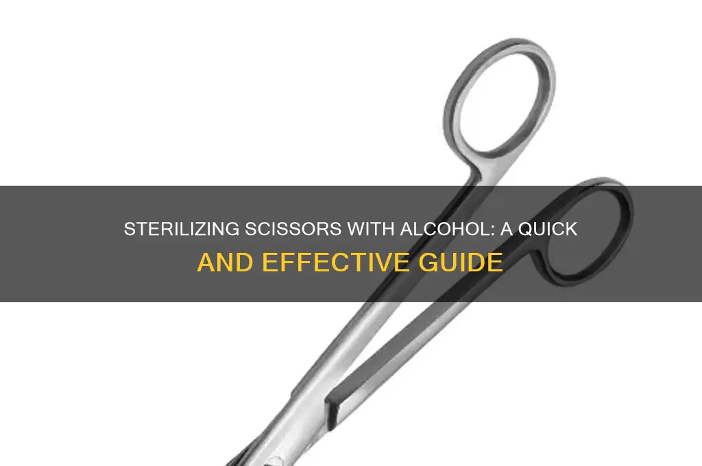 how to sterilize scissors with alcohol