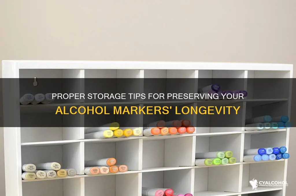 how to store alcohol markers