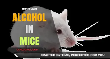 Studying Alcohol's Effects in Mice: A Comprehensive Research Guide