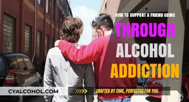 Helping a Friend with Alcohol Addiction: Practical Steps