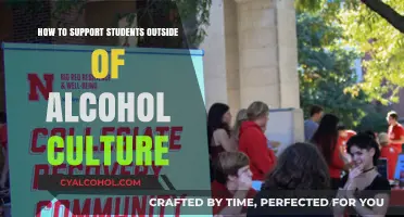 Supporting Sober Students: Creating an Inclusive Campus Culture