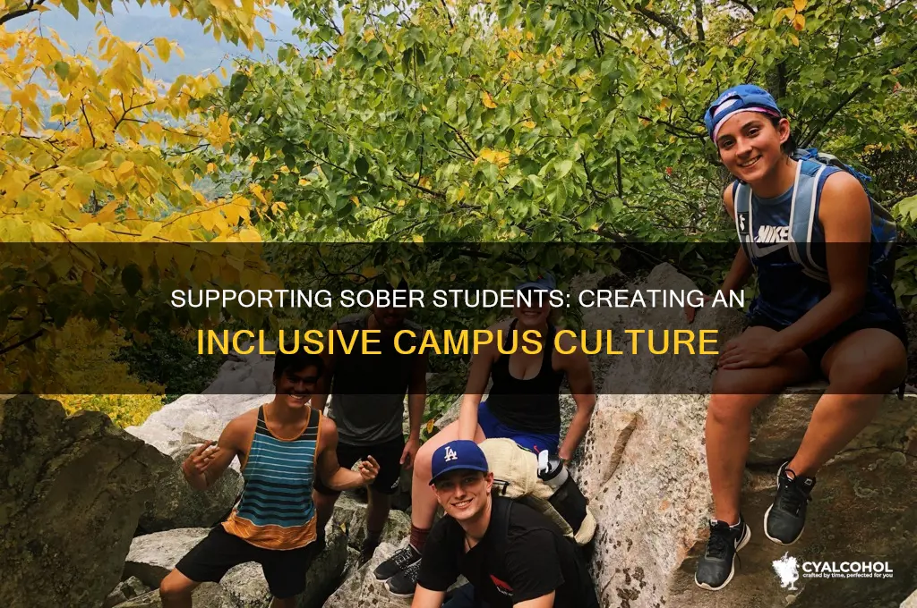 how to support students outside of alcohol culture