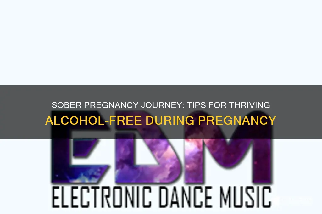 how to survive pregnancy without alcohol