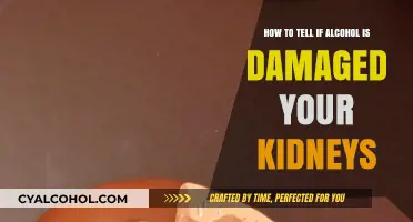 Alcohol's Impact: Kidney Damage Signs and Symptoms