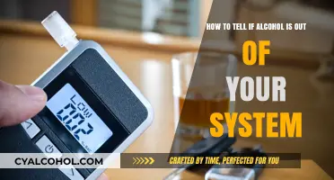 Alcohol Out of Your System: Testing and Timeline