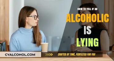 Spotting Lies: Alcoholics and Their Deceptive Behavior